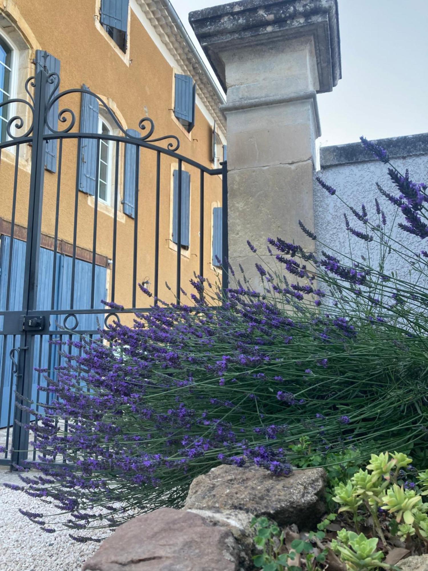 Bed and Breakfast Domaine Forvent Saint-Julien-de-Peyrolas Zewnętrze zdjęcie